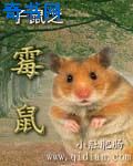 农门娇之悍宠九夫