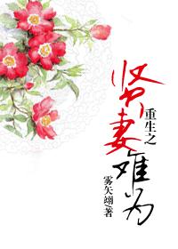 男人j桶进女人p无遮挡在线观看