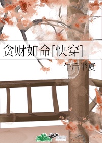赵晨飞