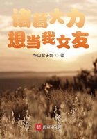 老婆和一群外交吕哥