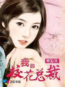 海贼王娜美同人