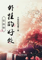 电视剧风筝全集免费观