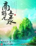 2024年中文字幕视频