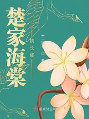 超级赘婿