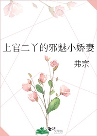 楚风小说