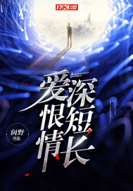 2024天天夜免费观看网站