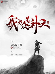 003和001有什么区别