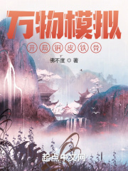 新神奇宝贝2