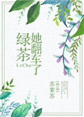 田中瞳番号
