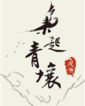 欧美高清整片在线观看