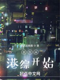 sakimichan阿狸里版