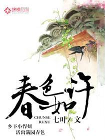 风筝全集