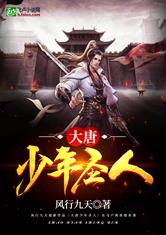 龙腾小说杨家将h版