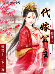 娇妻与公续系列小说