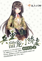 粉红色的火烈鸟在线511