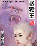 美国派2