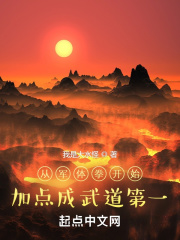 此间的老叶一