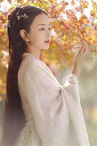 婢女情史