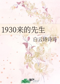 风月影视