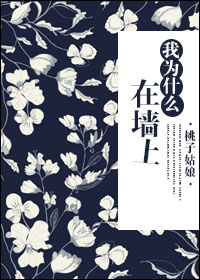 www.763aa.com