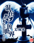 大西瓜pro