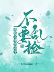 完结小说排行榜