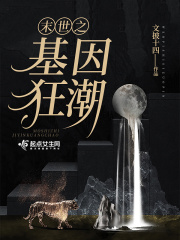 忘却的银狐