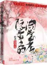 机甲旋风官网