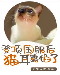 国产在线精品国自产拍影院午夜