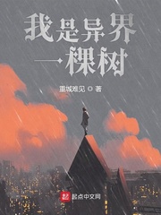 3d最新真精华布衣