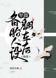 耿耿于怀电视剧免费观看