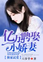 轻钢龙骨吊顶