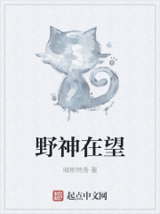 流氓视频下载