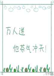 夺宝熊兵电影完整版在线观看