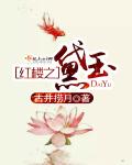 杜心五传奇电视剧免费观看
