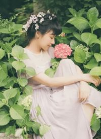 新中华再起