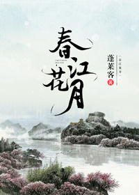 新视觉4080