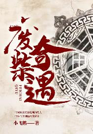 91pom最新版本