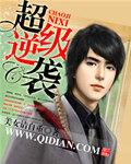本能解决师