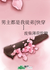 兵王传奇苏锐
