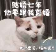 火影忍者究极风暴世代