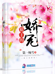 新《苏东坡》电视剧