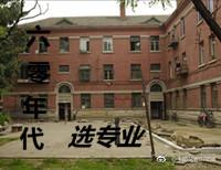 道系快穿洛大王