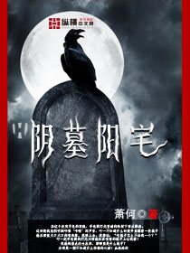 我是特种兵之火凤凰小说