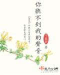菲梦少女第一季免费观看