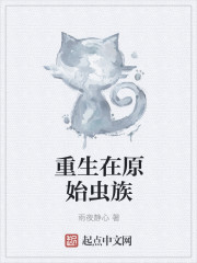 袁阔成三国演义365回