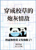 男女做爰三p猛烈视频