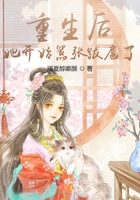 阿轲和小兵的那张图26集
