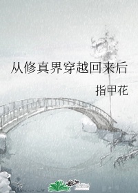 女市委书记的男秘书