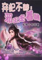 筱崎美沙13部